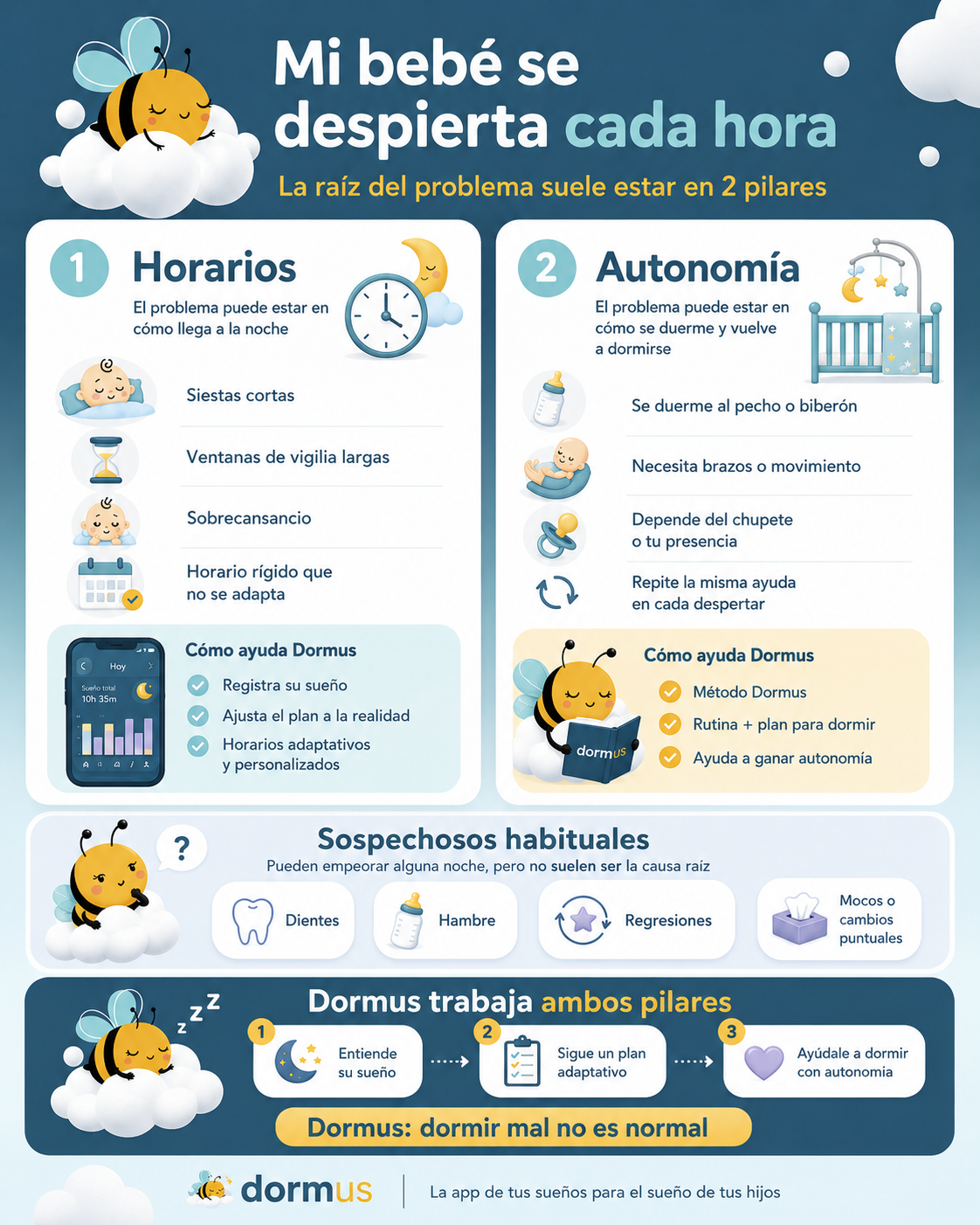Infografía de Dormus sobre despertares cada hora: horarios adaptativos, autonomía y señales habituales a revisar.